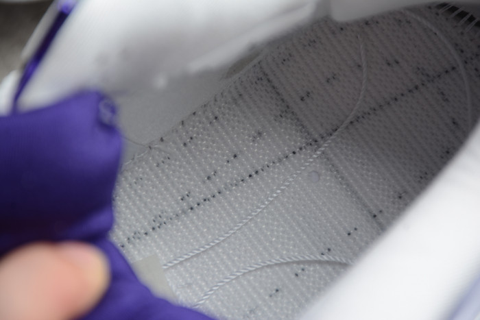 Air Jordan 4 “Court Purple” CT8527-115